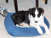 06 05 2015,210148 IMG 0151