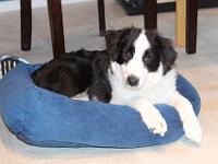 06 05 2015,210154 IMG 0153