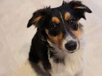 06 05 2015,210159 IMG 0156