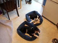 06 06 2015,092027 IMG 0163