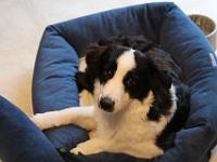 06 06 2015,092032 IMG 0167