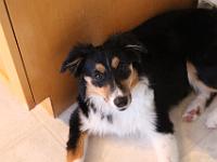 06 12 2015,203835 IMG 0183