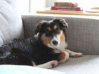 07 10 2015,194714 IMG 0076