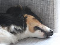 07 10 2015,194844 IMG 0079