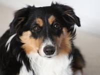 07 10 2015,201410 IMG 0084