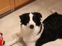 07 10 2015,231149 IMG 0100