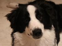 07 10 2015,231159 IMG 0104