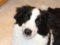 07 10 2015,231246 IMG 0118