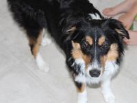 07 19 2015,164123 IMG 0127