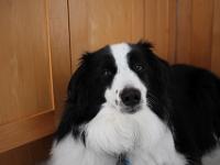 08 19 2018,113019 IMG 0017