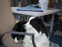 08 19 2018,113927 IMG 0080