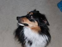 08 21 2016,095854 IMG 0235