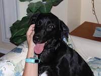 09 11 2016,180757 IMG 0310