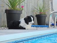 09 13 2015,125632 IMG 0005