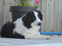 09 13 2015,125639 IMG 0006