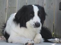 09 13 2015,125657 IMG 0009