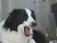 09 13 2015,125702 IMG 0010