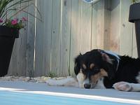 09 13 2015,132915 IMG 0023