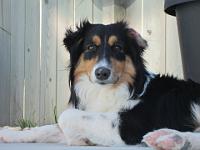 09 13 2015,132921 IMG 0024