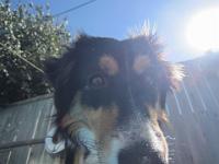 09 13 2015,133001 IMG 0028