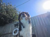 09 13 2015,133007 IMG 0029