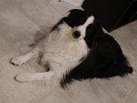 09 13 2016,212513 IMG 0005