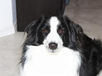 09 13 2016,212537 IMG 0009