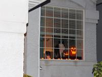 10 31 2015,182336 IMG 0021