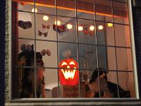 10 31 2016,184607 IMG 0034