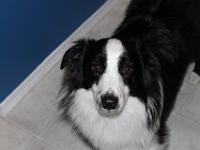 11 15 2015,192933 IMG 0003