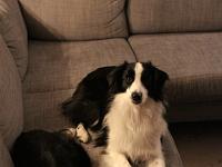 11 29 2015,210613 IMG 0024