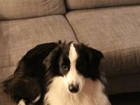 11 29 2015,210615 IMG 0025