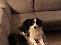 11 29 2015,210616 IMG 0026