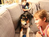 11 29 2015,210924 IMG 0042