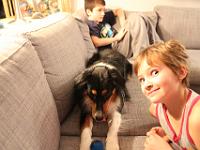 11 29 2015,210924 IMG 0043