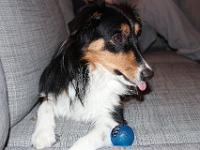 11 29 2015,211040 IMG 0051