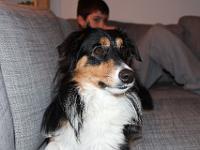 11 29 2015,211041 IMG 0052