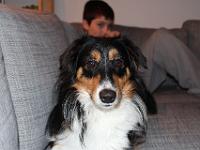 11 29 2015,211041 IMG 0053